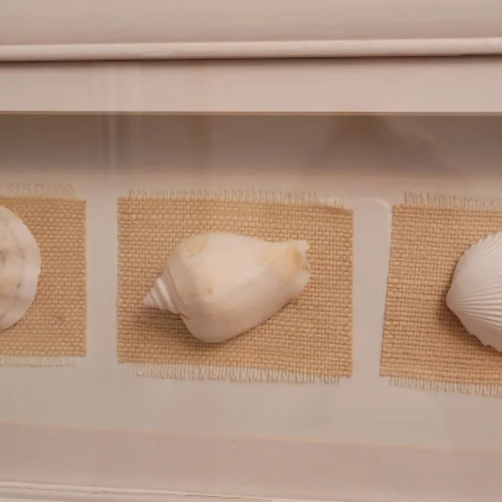 Sea Shell Shadow Boxes - Picture 4 of 11